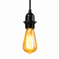 A vintage-style industrial pendant light with a glowing amber glass bulb and a matte black metal socket and cord, shown against a plain white background.
